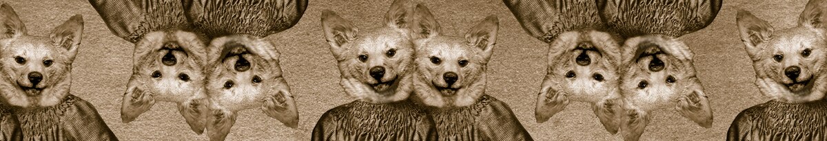 Random Old Timey Dogs